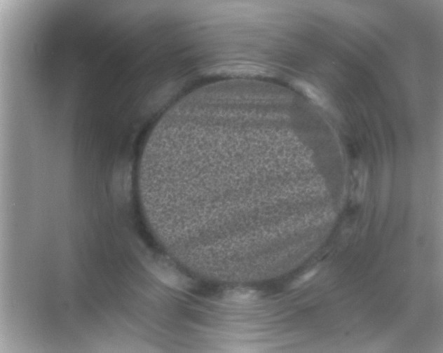 X0000068280206200605051850