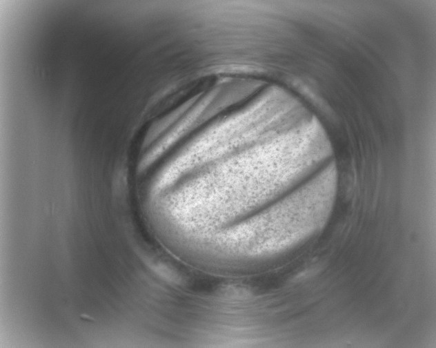 X0000068280207200605051850