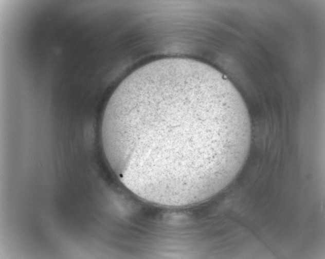 X0000068280208200605051850