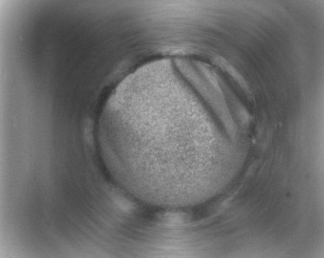 X0000068280209200605051850