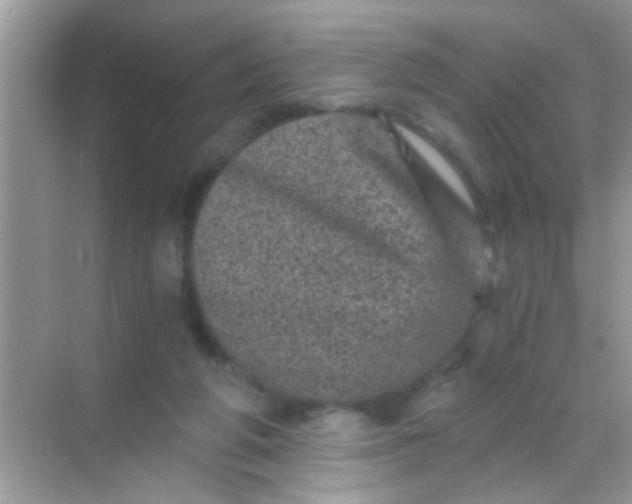 X0000068280210200605051850