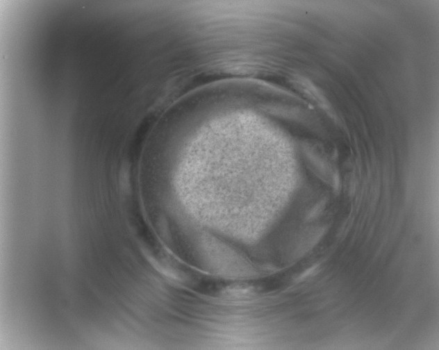 X0000068280213200605051850