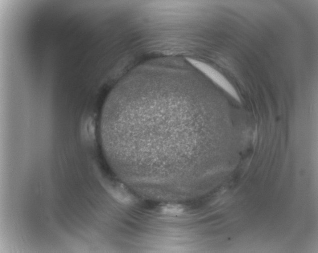 X0000068280214200605051850