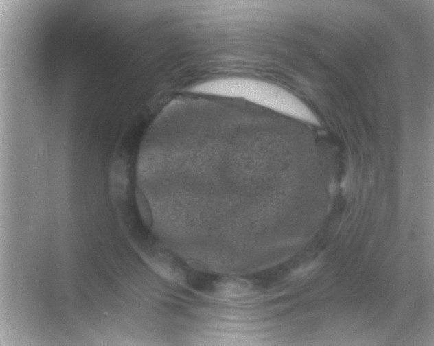 X0000068280215200605051850