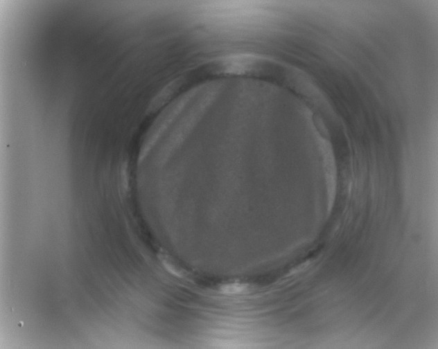 X0000068280216200605051850