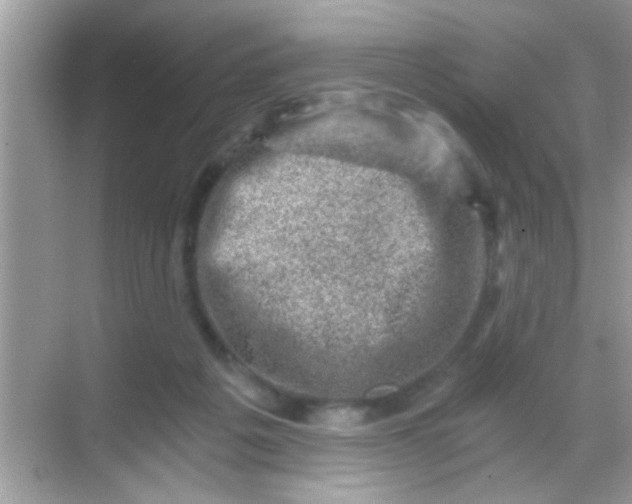 X0000068280217200605051850