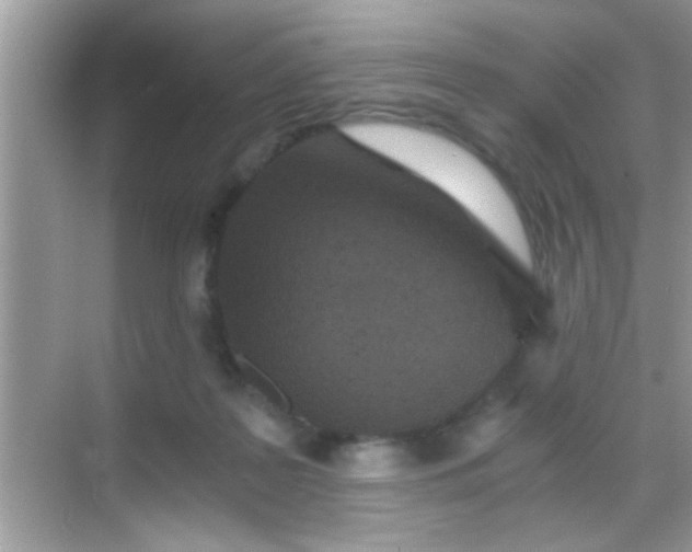 X0000068280219200605051850