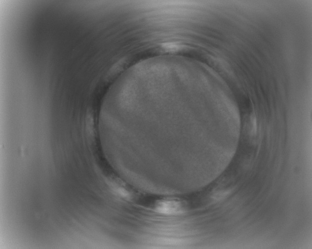 X0000068280220200605051850