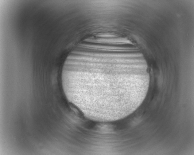 X0000068280221200605051850