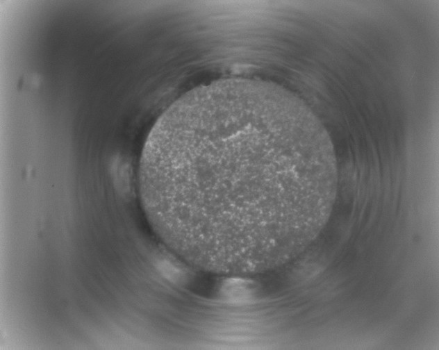 X0000068280222200605051850