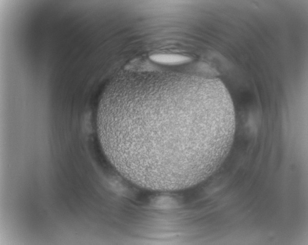 X0000068280224200605051850