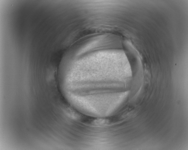 X0000068280225200605051850