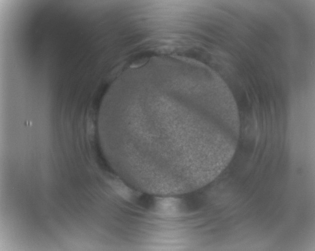 X0000068280226200605051850