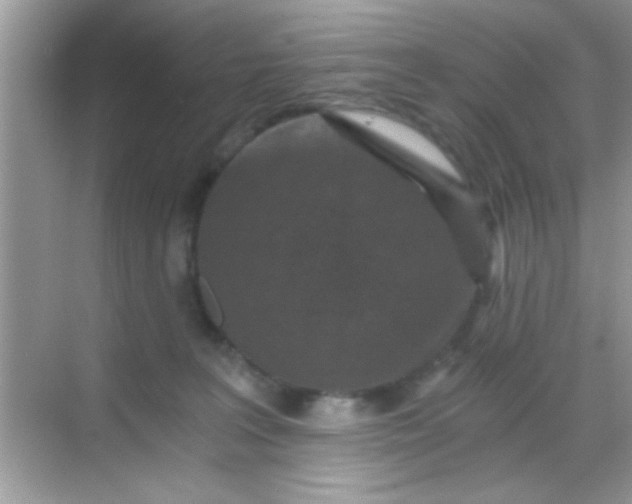 X0000068280227200605051850