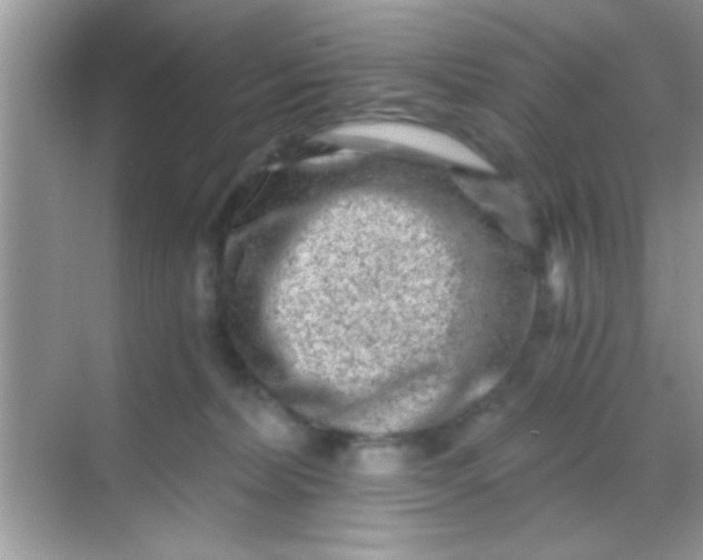 X0000068280228200605051850