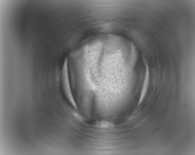 X0000068280230200605051850