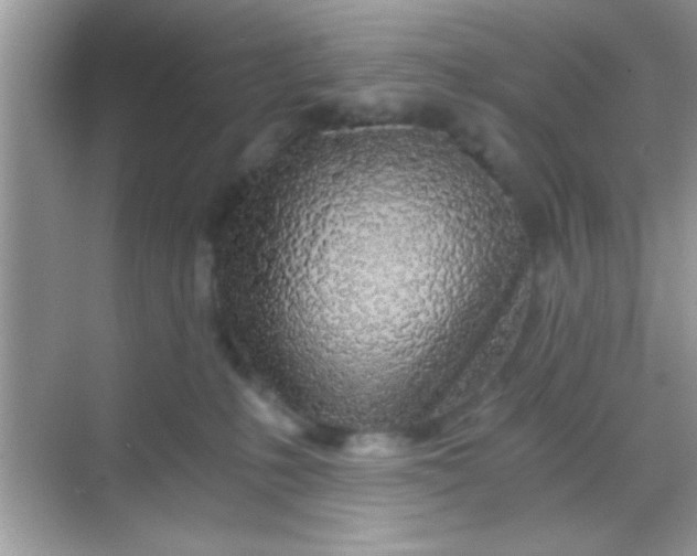 X0000068280231200605051849