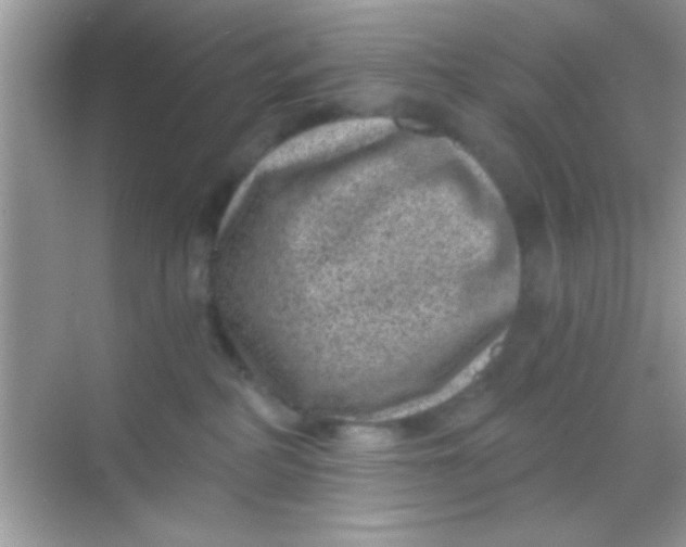 X0000068280234200605051849