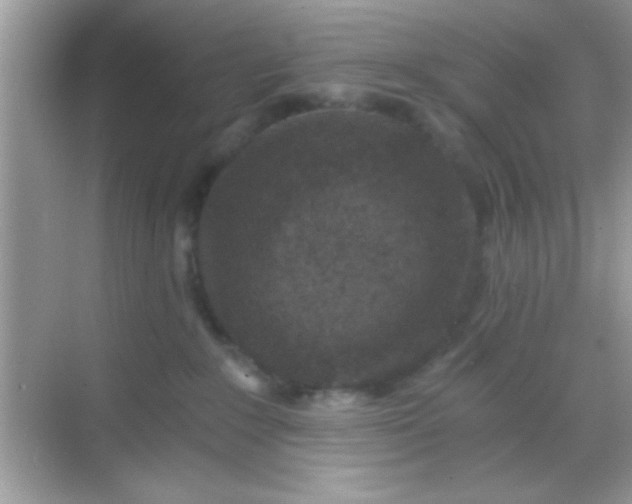 X0000068280235200605051849