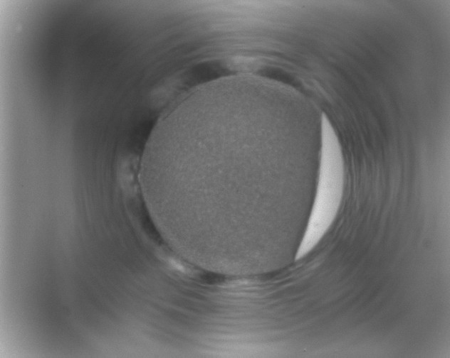 X0000068280237200605051849