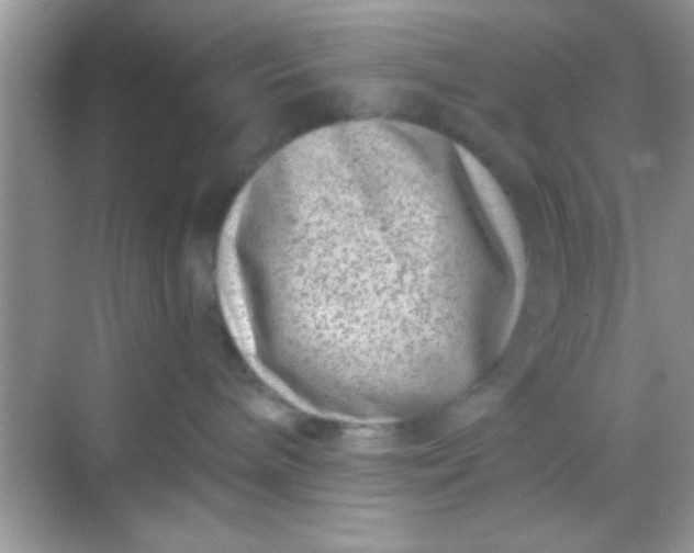 X0000068280240200605051849