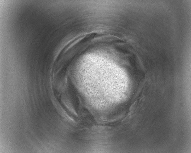 X0000068280242200605051849