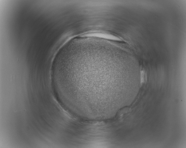 X0000068280243200605051849