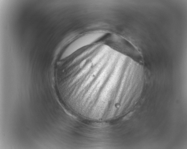 X0000068280245200605051849