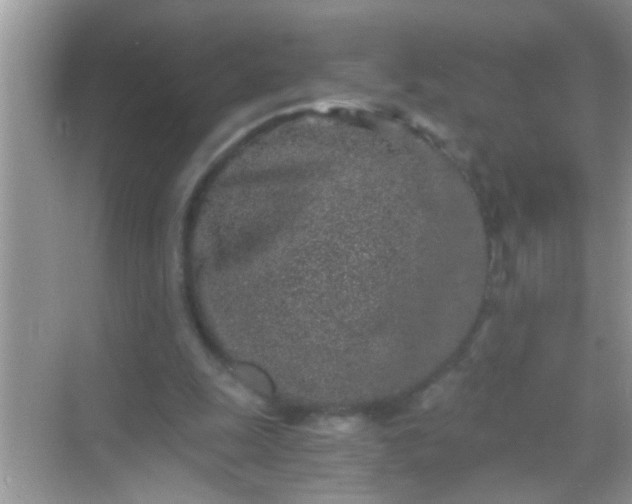 X0000068280247200605051849