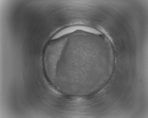 X0000068280249200605051849