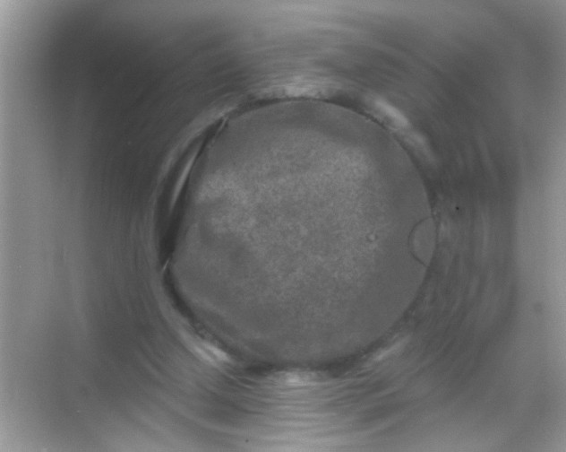 X0000068280250200605051849