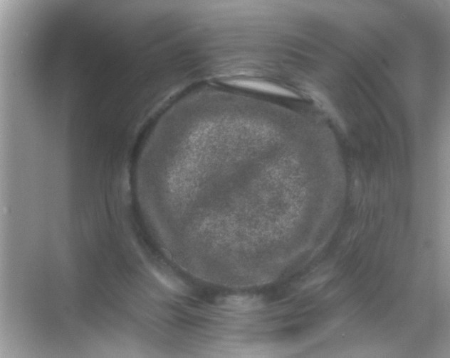 X0000068280251200605051849