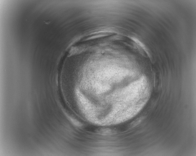 X0000068280253200605051849