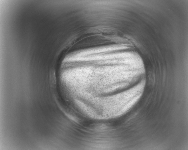 X0000068280254200605051849