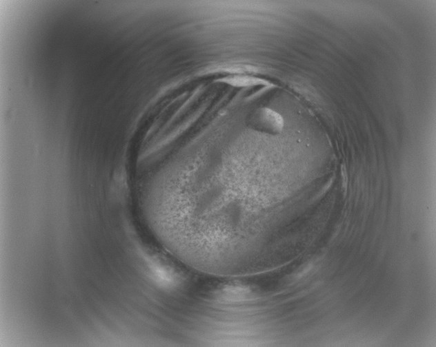 X0000068280256200605051849