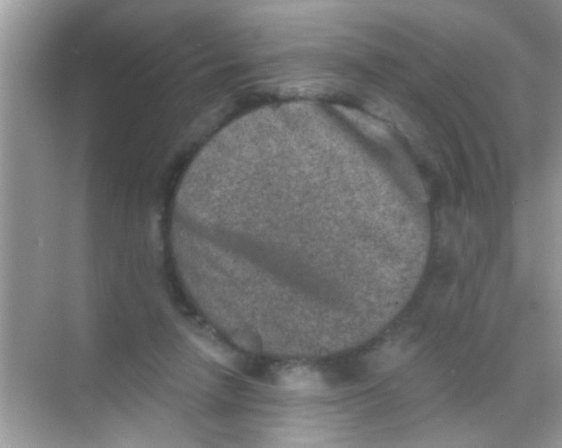 X0000068280258200605051849