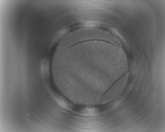 X0000068280260200605051849