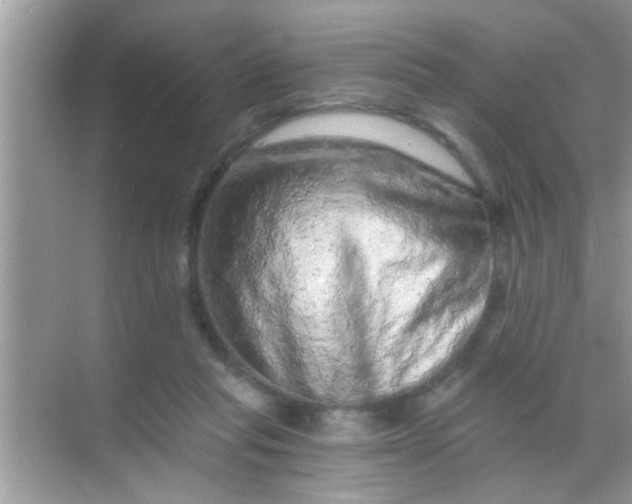 X0000068280261200605051849