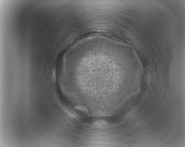 X0000068280262200605051849