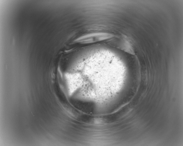 X0000068280264200605051849