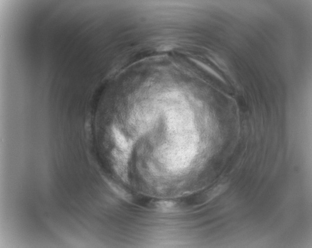 X0000068280265200605051849