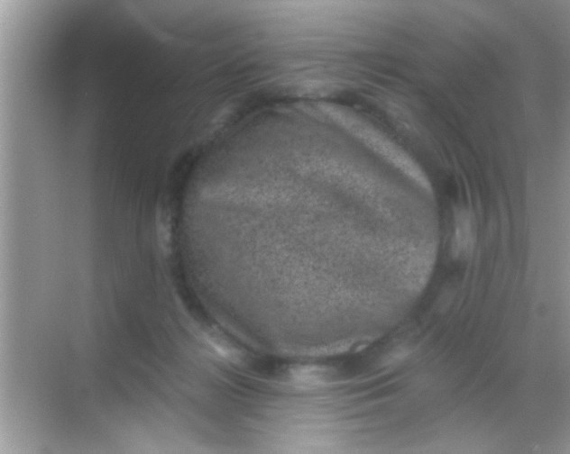 X0000068280268200605051849