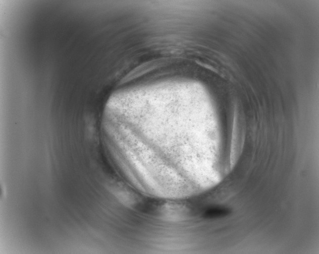 X0000068280270200605051849