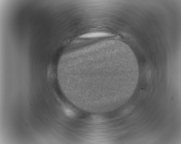 X0000068280272200605051849