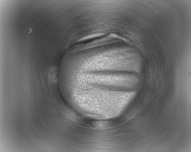 X0000068280273200605051849