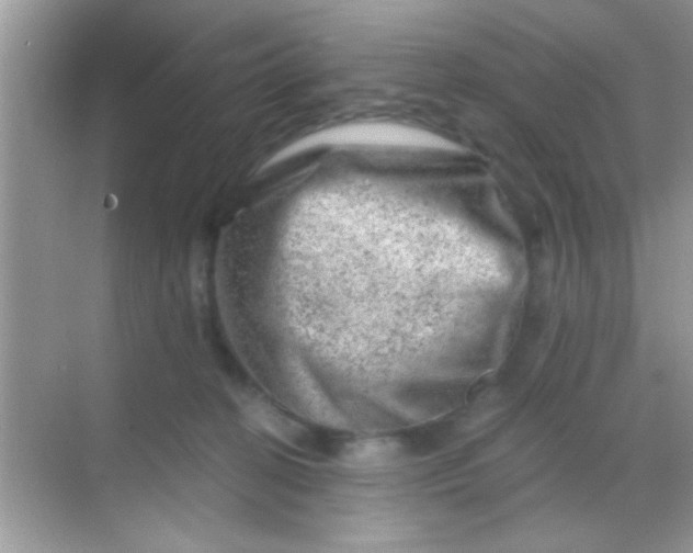 X0000068280274200605051849