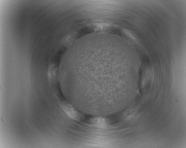 X0000068280276200605051849