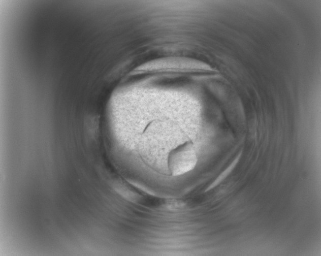 X0000068280278200605051849