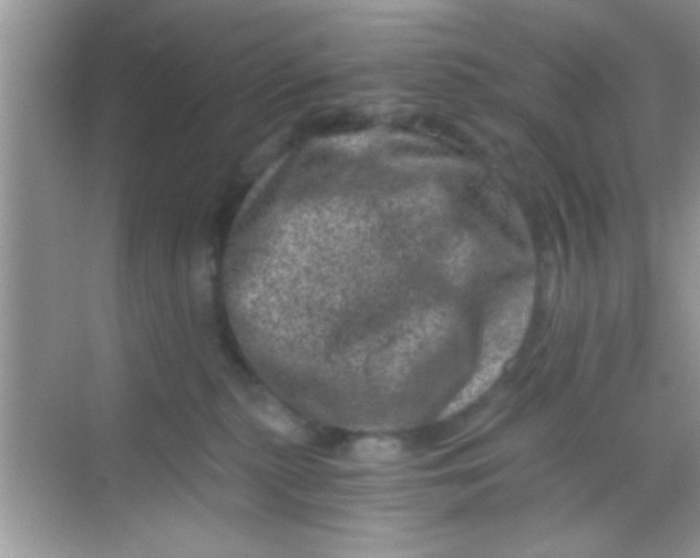 X0000068280279200605051849