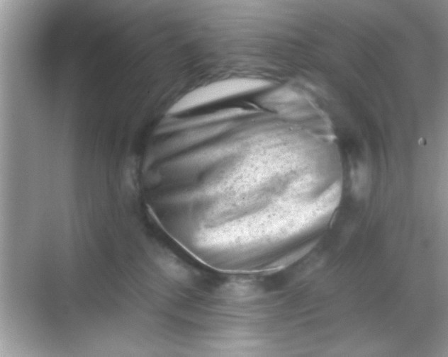 X0000068280280200605051849